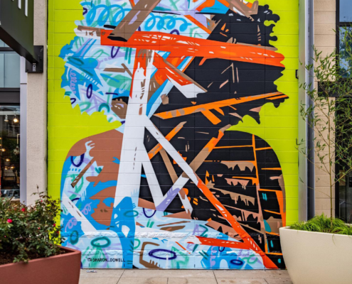 One-story, spray-painted mural of partially cool-colored & partially flesh-colored silhouette with voluminous curly hair. Open circles and other colorful organic shapes throughout. Plane broken by intersecting lines of varying widths, colors & lengths. Located on exterior wall of Charlotte’s Metropolitan complex, beside West Elm.